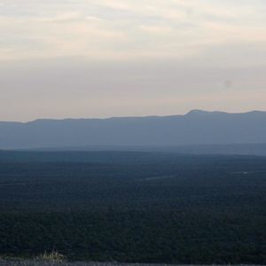 Meet your Posher, Lupe